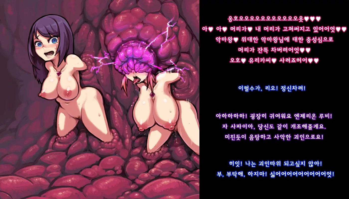 第十一話「漆黒の大幹部ゾーラ」